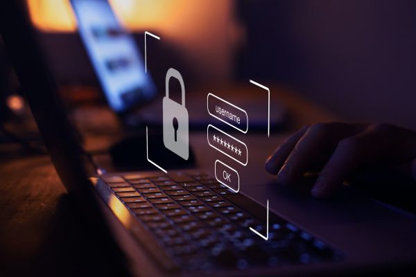 Certificate in Data Protection & Data Security Principles - Level 2