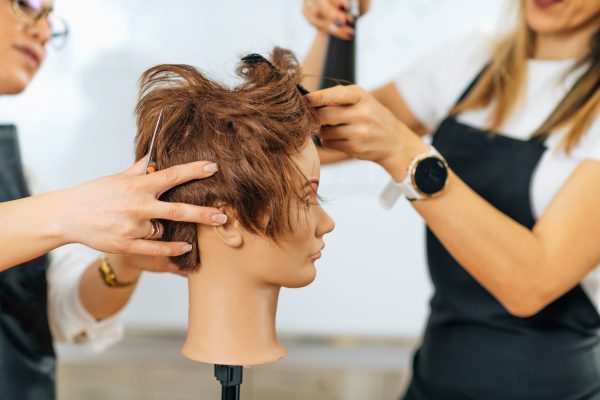 Learner Loan Level 4 Certificate in Education & Training (Academy Based)